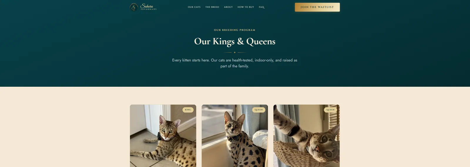 Sahara Savannahs website detail 1